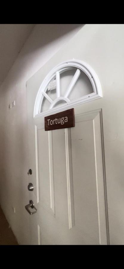 Habitacion Tortuga Casa Maria Bonita El Cuyo Buitenkant foto